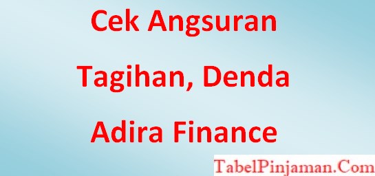 Cek Tagihan Wom Finance